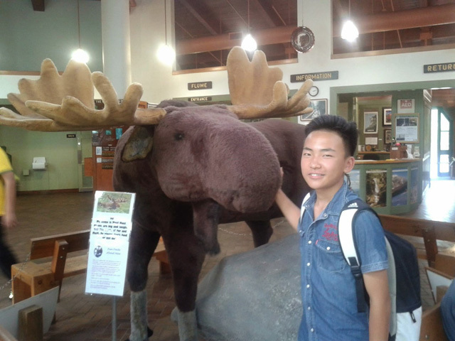 На экскурсии в музее