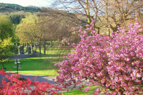 Территория Dover College