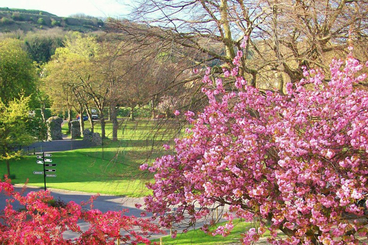 Территория Dover College