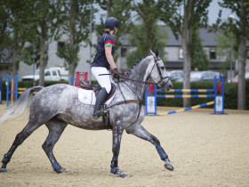 Студенты Millfield School занимаются конным спортом