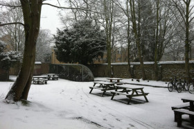 Территория St. Andrew's College