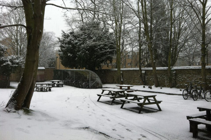 Территория St. Andrew's College