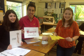 Студенты St. Clare’s на занятиях по биологии