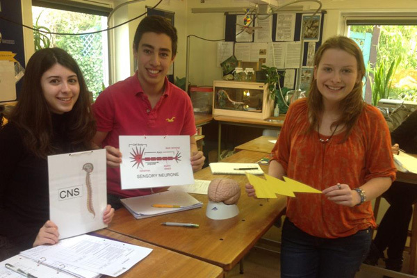 Студенты St. Clare’s на занятиях по биологии