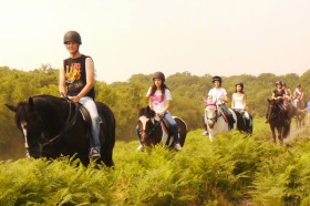 Прогулка на лошадях