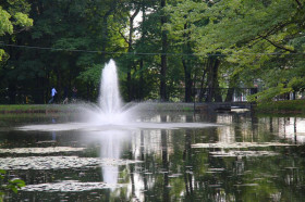 Территория Chapel Hill-Chauncy Hall School