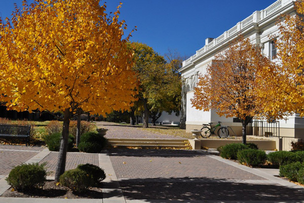 Территория Colorado Springs School