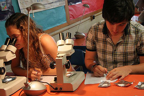 Студенты George School на занятиях