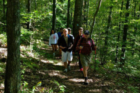 Прогулка по лесу