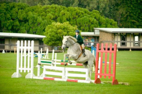 Студенты Hawaii Preparatory Academy занимаются конным спортом