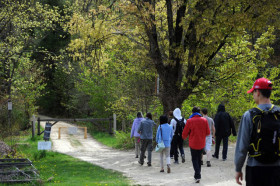 Прогулка в парке