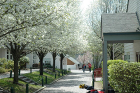 Территория Rumsey Hall School