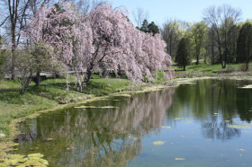 Озеро на территории South Kent School