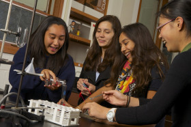 Научная деятельность