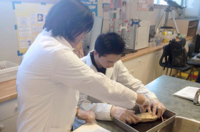 Студенты Bodwell High School на занятиях по биологии