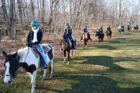 Конная прогулка