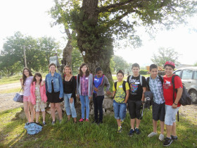 Студенты Saint Joseph