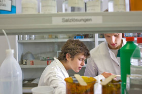 Lietz Internat Schloss Bieberstein