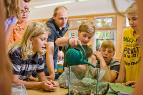 Живой уголок