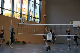 Студенты Ecole Nouvelle de la Suisse Romande играют в волейбол