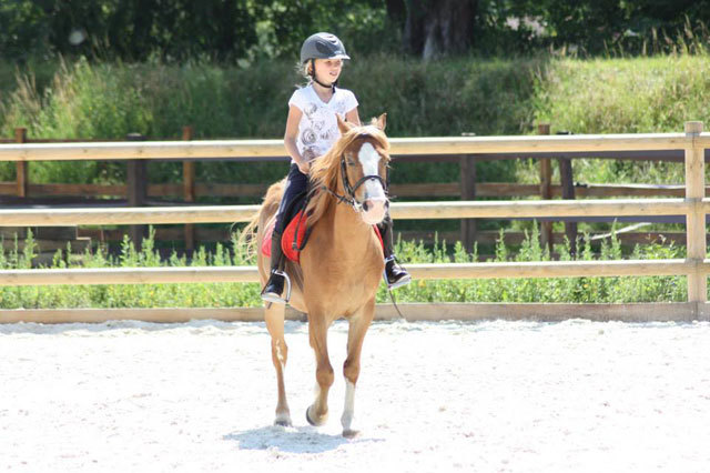 Студенты Institut Monte Rosa занимаются конным спортом