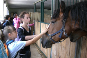 Студенты GLS Munich Young & Fun на конном дворе