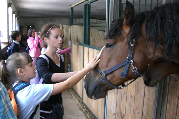 Студенты GLS Munich Young & Fun на конном дворе