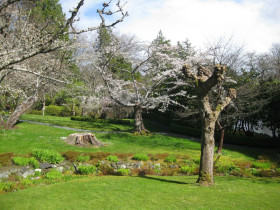 Территория Royal Roads ISC