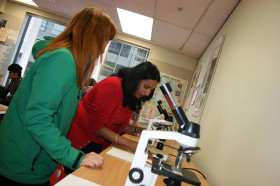 Научные исследования