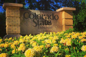 Colorado State University