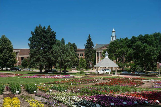 Colorado State University