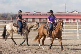 Студенты INTO Colorado State University занимаются конным спортом
