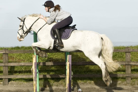 Студенты Kingswood School занимаются конным спортом