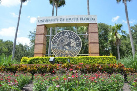 University of South Florida