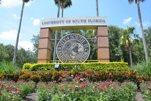 University of South Florida