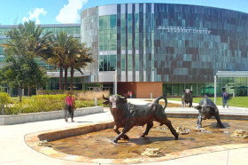 University of South Florida