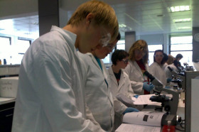 Научная деятельность