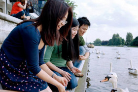 Прогулка по городу