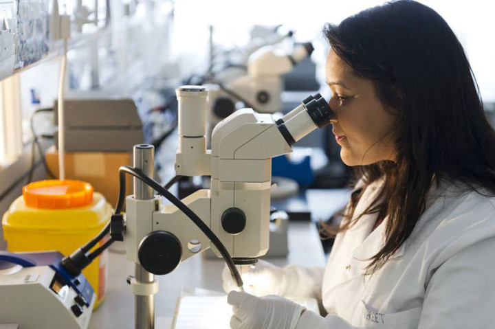 Студенты подготовительной программы University of East Anglia на занятиях