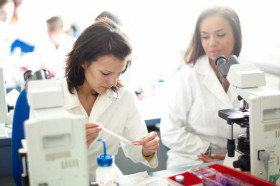 Научная деятельность