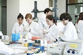 Научная деятельность