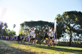 Участие в марафоне