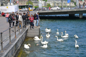 Прогулка по городу