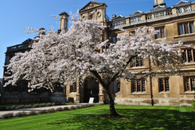 Clare College