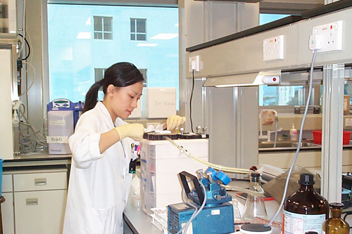 На занятиях в Университете Гонконга