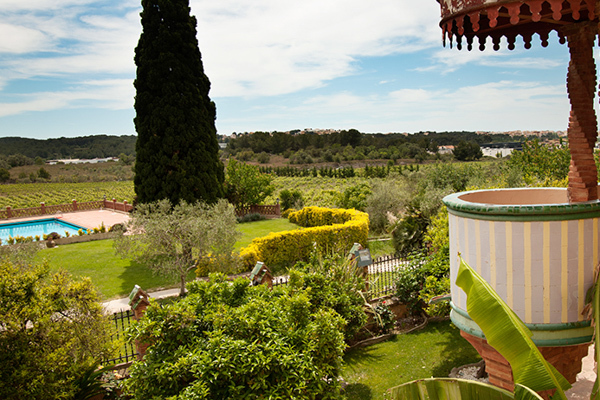 Территория International School of Barcelona