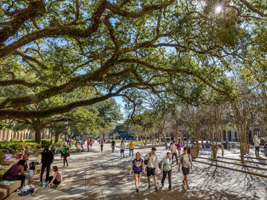 Территория Louisiana State University