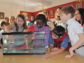 Занятия в Fay School