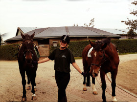 Конный спорт в Schloss Torgelow privates Gymnasium