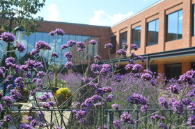 St Swithun’s School